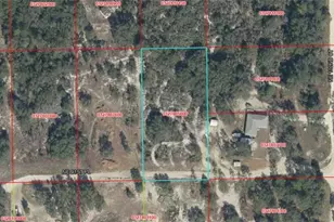 NE 91st Pl, Bronson, FL 32621 - Photo 1