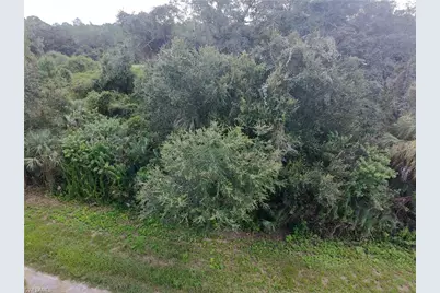 1801 Honduras Loop, Lehigh Acres, FL 33972 - Photo 5