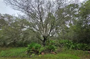 211 J4 Ranch Rd, Labelle, FL 33935 - Photo 29