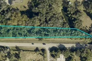 4741 Lone Pine Ct, Fort Myers, FL 33905 - Photo 1