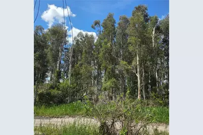 3130 Meadow Rd, Lehigh Acres, FL 33974 - Photo 3