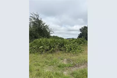 3310 8th St SW, Lehigh Acres, FL 33976 - Photo 3