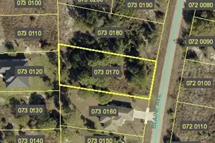 1250 Blaine Ave, Fort Myers, FL 33913 - Photo 1