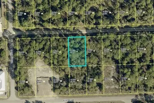 3513 62nd St W, Lehigh Acres, FL 33971 - Photo 1