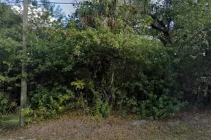 143 S Riverview St, Labelle, FL 33935 - Photo 1