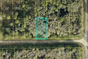 667 Knapp St, Lehigh Acres, FL 33974 - Photo 1