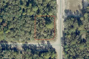 8011-1367-11 SW 147 Loop, Ocala, FL 34473 - Photo 1