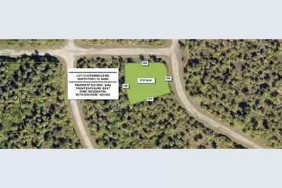 Lot 13 Copernicus Rd, North Port, FL 34288 - Photo 1