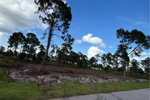 1109 Garibaldi St E, Lehigh Acres, FL 33974 - Photo 1