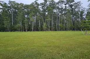 8405 Everly Preserve Dr, Lehigh Acres, FL 33971 - Photo 57