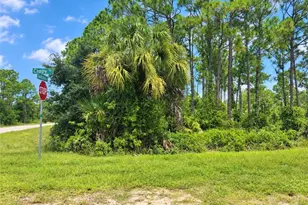 13365 Cappy Terrace, Punta Gorda, FL 33955 - Photo 1