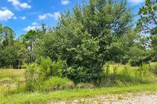 13149 Avalon Dr, Punta Gorda, FL 33955 - Photo 1