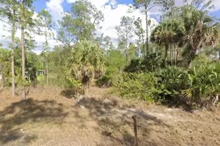 812 Sheldon Ave, Lehigh Acres, FL 33936 - Photo 1