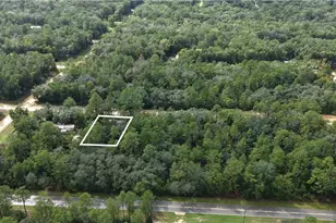 604 Del Monaco Ave Ave, Interlachen, FL 32148 - Photo 1
