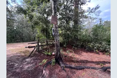 604 Del Monaco Ave Ave, Interlachen, FL 32148 - Photo 67