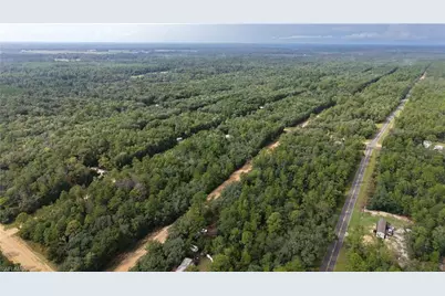 604 Del Monaco Ave Ave, Interlachen, FL 32148 - Photo 19