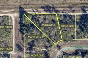 2178 Winnetka Dr, Lehigh Acres, FL 33972 - Photo 1