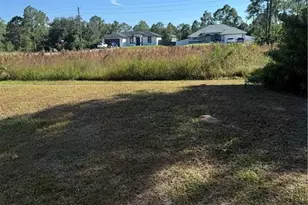 335 Reeves St, Lehigh Acres, FL 33972 - Photo 3
