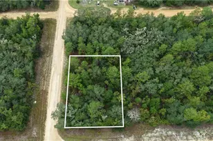 N/A Selma Ave Ave, Interlachen, FL 32148 - Photo 1