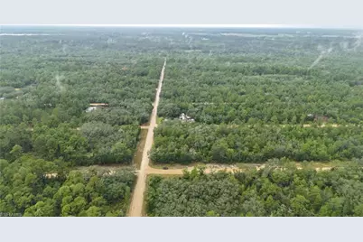 N/A Selma Ave Ave, Interlachen, FL 32148 - Photo 3