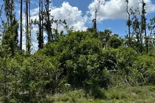 88 Westmore St, Port Charlotte, FL 33953 - Photo 1