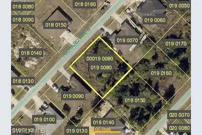 2429/2431 Richard Ave S, Lehigh Acres, FL 33973 - Photo 1
