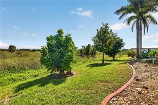 1313 Olivet St, Lehigh Acres, FL 33972 - Photo 39