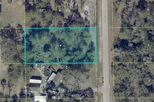 1015 Louis Ave, Lehigh Acres, FL 33972 - Photo 1
