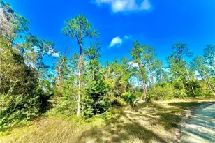 124 Nassau Ave, Lehigh Acres, FL 33974 - Photo 1