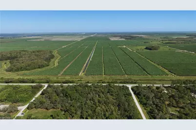 336 Pine Cone Ave, Clewiston, FL 33440 - Photo 1