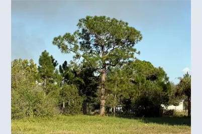 455 N Fronda St, Clewiston, FL 33440 - Photo 13