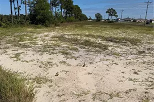 911 Wilmington Pkwy, Cape Coral, FL 33993 - Photo 1