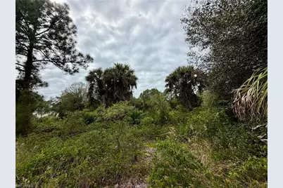 850 S Cabbage Palm St, Clewiston, FL 33440 - Photo 5