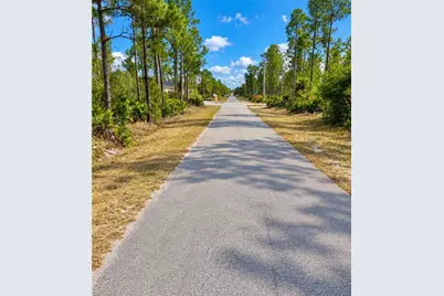 919 Truman Ave, Lehigh Acres, FL 33972 - Photo 3