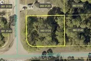 2000 Roosevelt Ave, Alva, FL 33920 - Photo 1