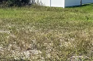 2020 NW 4th Terrace, Cape Coral, FL 33993 - Photo 5