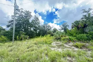 3018 46th St SW, Lehigh Acres, FL 33976 - Photo 1