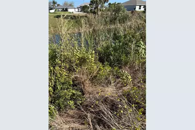 4011 NE 9th Ave, Cape Coral, FL 33909 - Photo 5