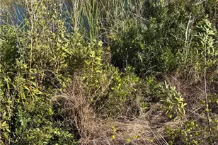 4011 NE 9th Ave, Cape Coral, FL 33909 - Photo 5