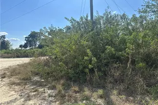 7716 Wheeler Rd, Labelle, FL 33935 - Photo 1