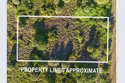 820 Casper Yost St E, Lehigh Acres, FL 33974 - Photo 3