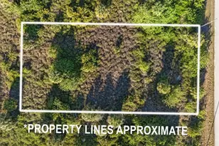 820 Casper Yost St E, Lehigh Acres, FL 33974 - Photo 3