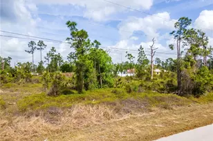 1129 Damen St E, Lehigh Acres, FL 33974 - Photo 15