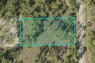 2219 Grant Ave, Alva, FL 33920 - Photo 1