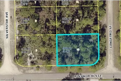 774 Langford St, Lehigh Acres, FL 33974 - Photo 3