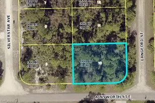 774 Langford St, Lehigh Acres, FL 33974 - Photo 3