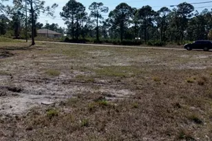 803 Puccini Ave S, Lehigh Acres, FL 33974 - Photo 3