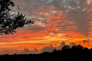 2701 Citrus St, Naples, FL 34120 - Photo 39