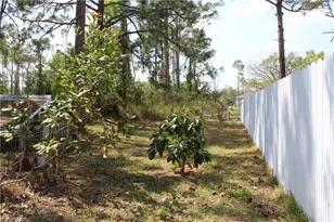 2609 Owen Ave S, Lehigh Acres, FL 33973 - Photo 33