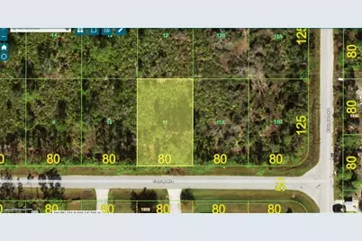 12212 Conroy Ave, Port Charlotte, FL 33981 - Photo 1